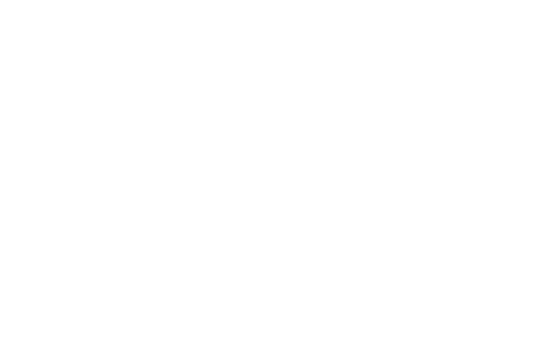 Noah Corwick white footer logo
